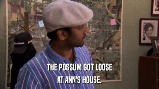 THE POSSUM GOT LOOSE AT ANN'S HOUSE. 