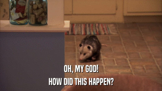 OH, MY GOD! HOW DID THIS HAPPEN? 