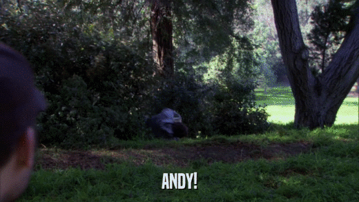 ANDY!  