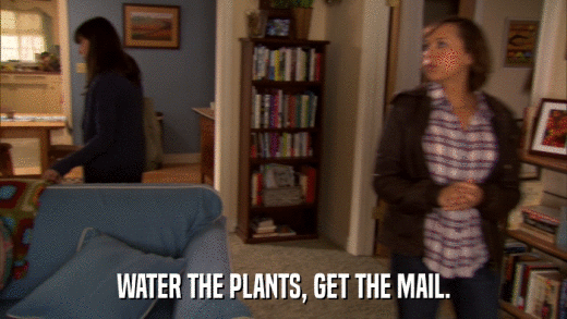 WATER THE PLANTS, GET THE MAIL.  