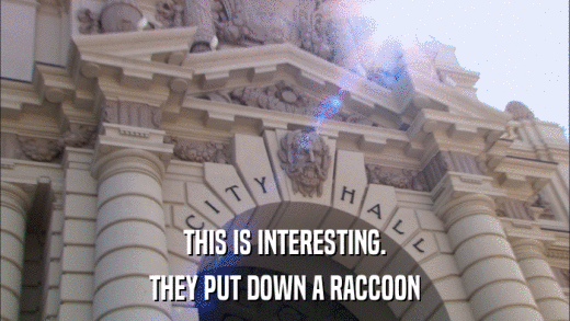 THIS IS INTERESTING. THEY PUT DOWN A RACCOON 