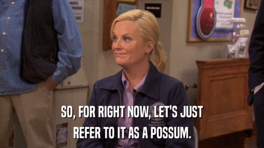 SO, FOR RIGHT NOW, LET'S JUST REFER TO IT AS A POSSUM. 