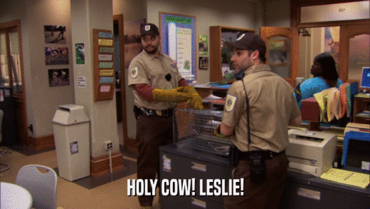 HOLY COW! LESLIE!  