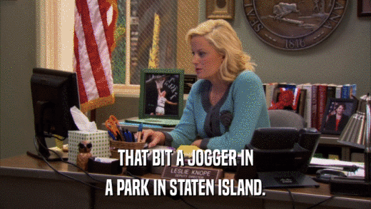 THAT BIT A JOGGER IN A PARK IN STATEN ISLAND. 