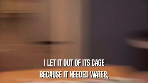 I LET IT OUT OF ITS CAGE BECAUSE IT NEEDED WATER, 