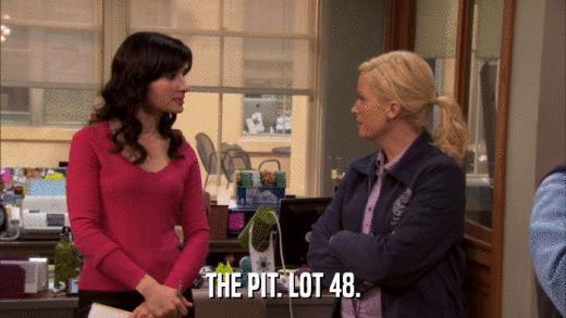 THE PIT. LOT 48.  