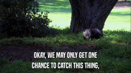 OKAY, WE MAY ONLY GET ONE CHANCE TO CATCH THIS THING, 