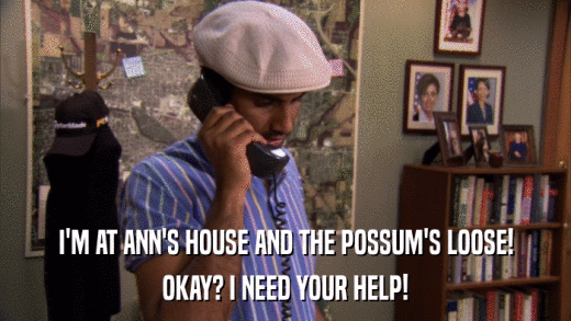 I'M AT ANN'S HOUSE AND THE POSSUM'S LOOSE! OKAY? I NEED YOUR HELP! 