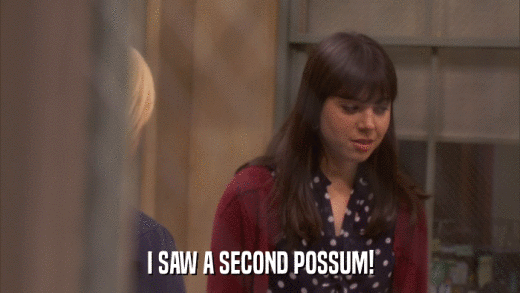 I SAW A SECOND POSSUM!  