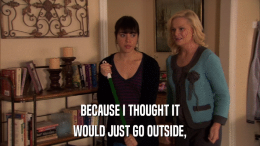 BECAUSE I THOUGHT IT WOULD JUST GO OUTSIDE, 