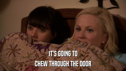 IT'S GOING TO CHEW THROUGH THE DOOR 