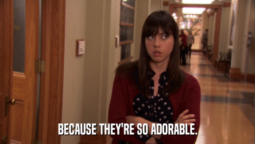 BECAUSE THEY'RE SO ADORABLE.  
