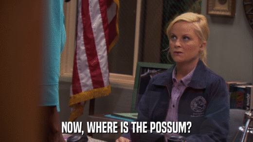 NOW, WHERE IS THE POSSUM?  