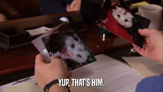 YUP, THAT'S HIM.  