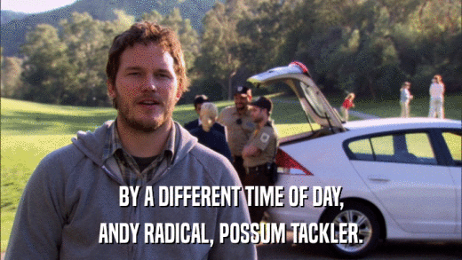 BY A DIFFERENT TIME OF DAY, ANDY RADICAL, POSSUM TACKLER. 