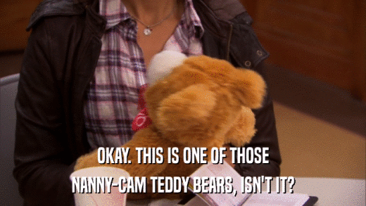 OKAY. THIS IS ONE OF THOSE NANNY-CAM TEDDY BEARS, ISN'T IT? 