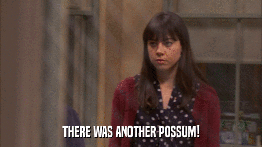 THERE WAS ANOTHER POSSUM!  