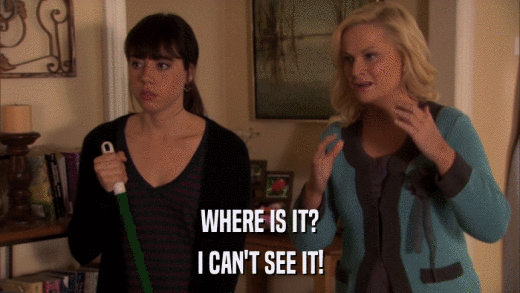 WHERE IS IT? I CAN'T SEE IT! 