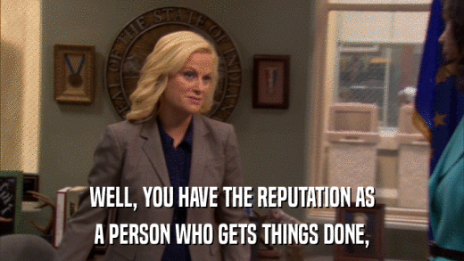 WELL, YOU HAVE THE REPUTATION AS A PERSON WHO GETS THINGS DONE, 