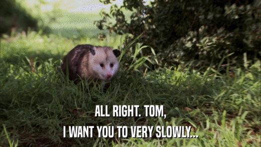 ALL RIGHT. TOM, I WANT YOU TO VERY SLOWLY... 