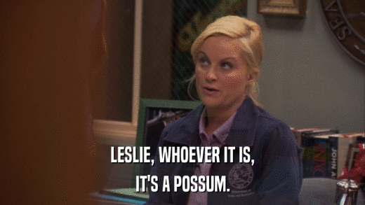 LESLIE, WHOEVER IT IS, IT'S A POSSUM. 
