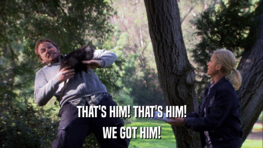 THAT'S HIM! THAT'S HIM! WE GOT HIM! 