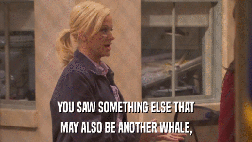 YOU SAW SOMETHING ELSE THAT MAY ALSO BE ANOTHER WHALE, 