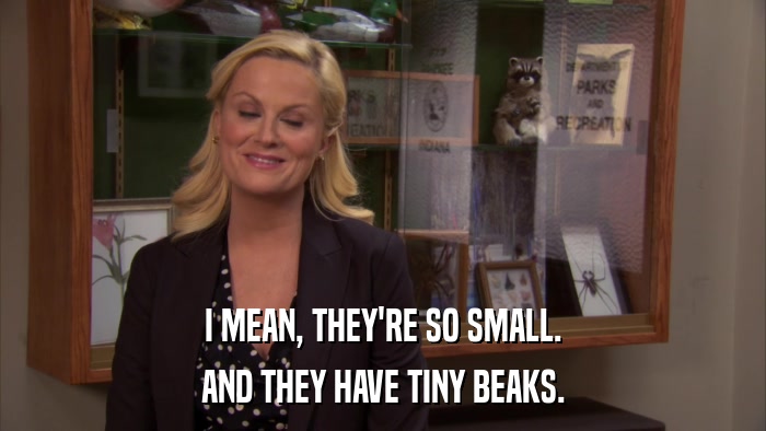 I MEAN, THEY'RE SO SMALL. AND THEY HAVE TINY BEAKS. 