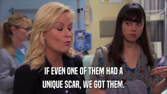 IF EVEN ONE OF THEM HAD A UNIQUE SCAR, WE GOT THEM. 
