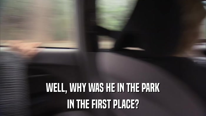 WELL, WHY WAS HE IN THE PARK IN THE FIRST PLACE? 