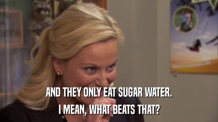 AND THEY ONLY EAT SUGAR WATER. I MEAN, WHAT BEATS THAT? 