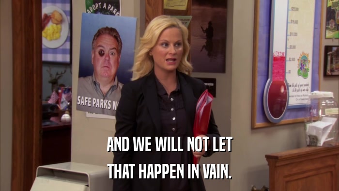 AND WE WILL NOT LET THAT HAPPEN IN VAIN. 