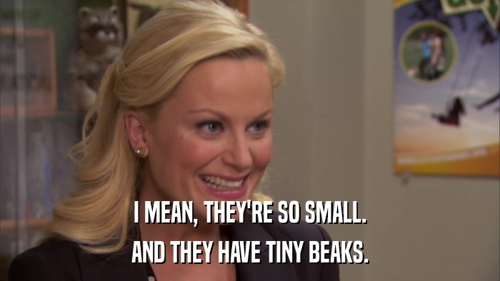 I MEAN, THEY'RE SO SMALL. AND THEY HAVE TINY BEAKS. 