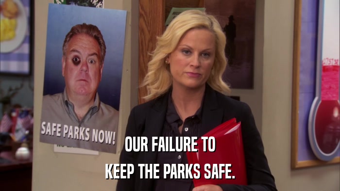 OUR FAILURE TO KEEP THE PARKS SAFE. 