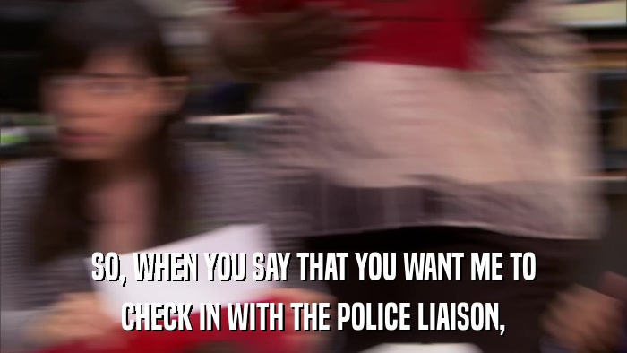 SO, WHEN YOU SAY THAT YOU WANT ME TO CHECK IN WITH THE POLICE LIAISON, 