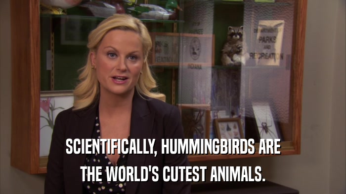 SCIENTIFICALLY, HUMMINGBIRDS ARE THE WORLD'S CUTEST ANIMALS. 