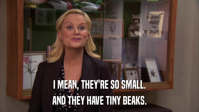 I MEAN, THEY'RE SO SMALL. AND THEY HAVE TINY BEAKS. 