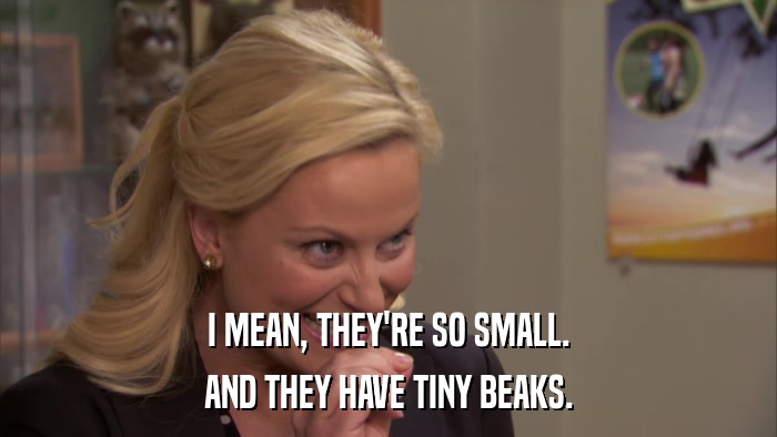 I MEAN, THEY'RE SO SMALL. AND THEY HAVE TINY BEAKS. 