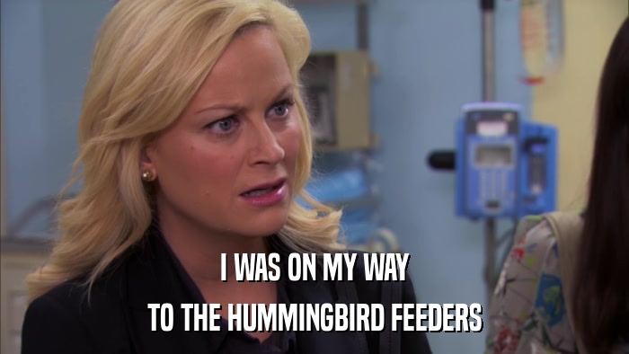 I WAS ON MY WAY TO THE HUMMINGBIRD FEEDERS 