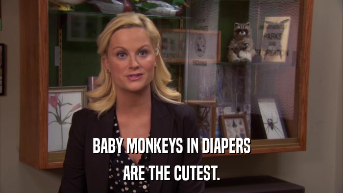 BABY MONKEYS IN DIAPERS ARE THE CUTEST. 