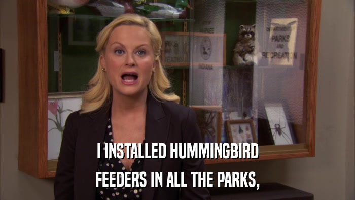 I INSTALLED HUMMINGBIRD FEEDERS IN ALL THE PARKS, 