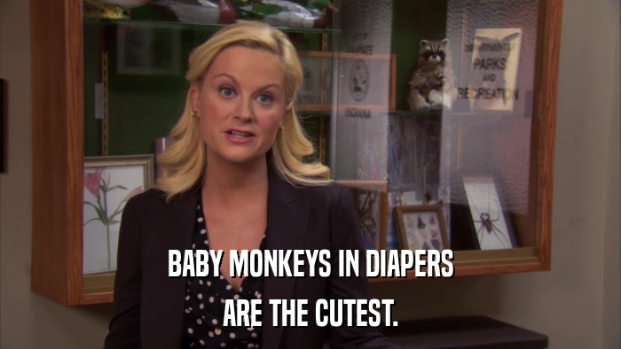 BABY MONKEYS IN DIAPERS ARE THE CUTEST. 