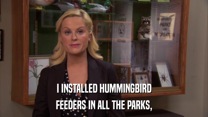 I INSTALLED HUMMINGBIRD FEEDERS IN ALL THE PARKS, 