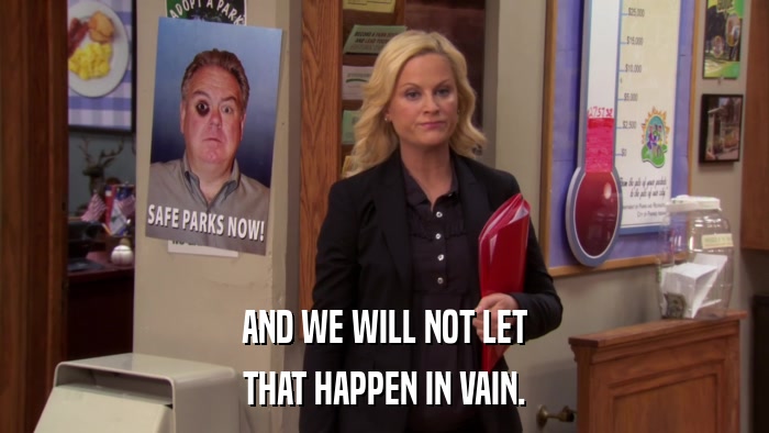 AND WE WILL NOT LET THAT HAPPEN IN VAIN. 