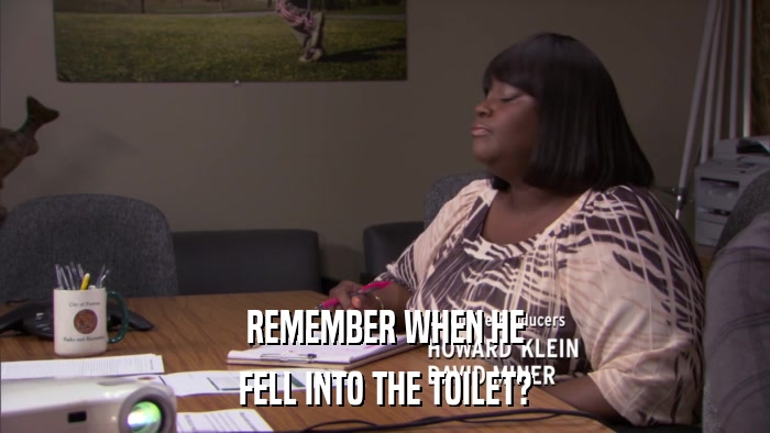 REMEMBER WHEN HE FELL INTO THE TOILET? 
