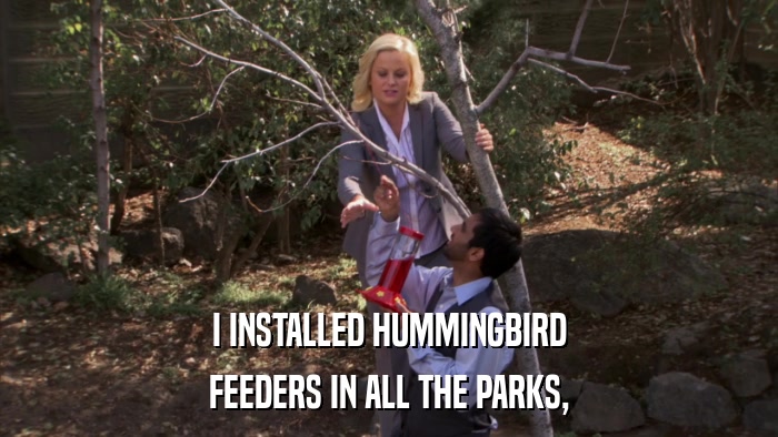 I INSTALLED HUMMINGBIRD FEEDERS IN ALL THE PARKS, 