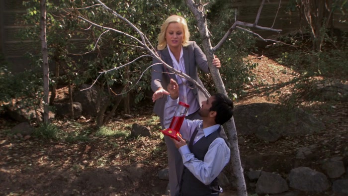 I INSTALLED HUMMINGBIRD FEEDERS IN ALL THE PARKS, 