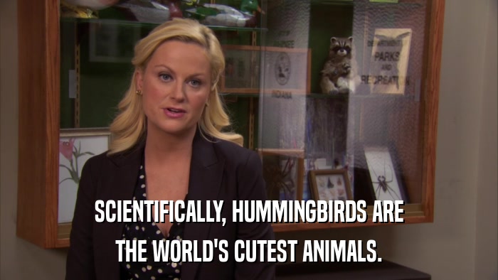 SCIENTIFICALLY, HUMMINGBIRDS ARE THE WORLD'S CUTEST ANIMALS. 