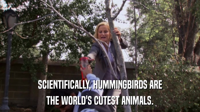 SCIENTIFICALLY, HUMMINGBIRDS ARE THE WORLD'S CUTEST ANIMALS. 