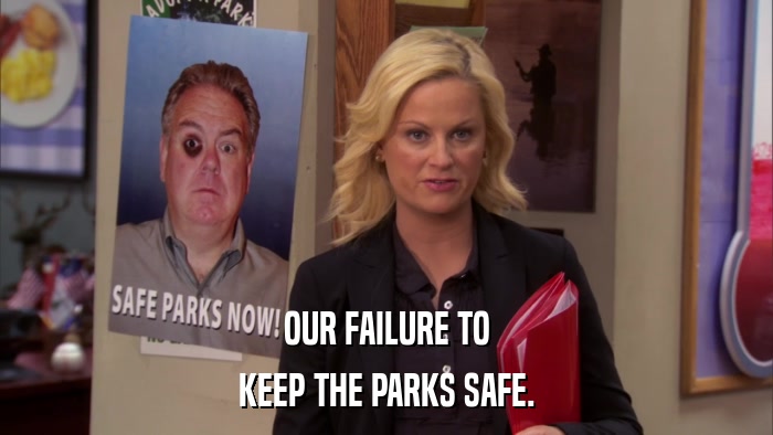 OUR FAILURE TO KEEP THE PARKS SAFE. 